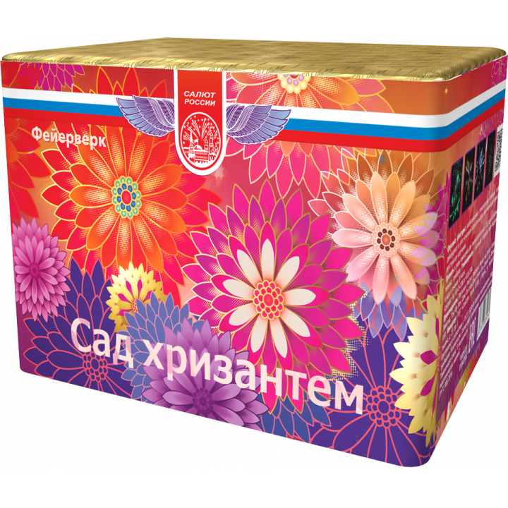 Сад хризантем
